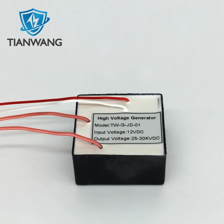 Small Electrostatic High Voltage Generator